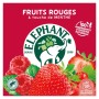 THE INFUSION FRUITS ROUGE 20 SACHETS ELEPHANT