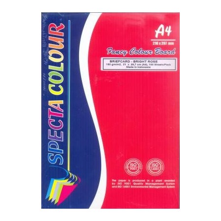 BRISTOL RAMETTE A4 ROSE 180GR