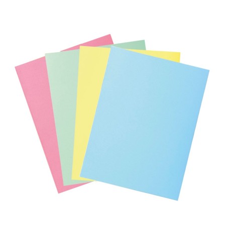 SOUS CHEMISE CARTONEE 4 COULEURS 100 UNITES.