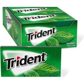 CHEWING GUM A LA MENTHE 14 PIECES TRIDENT